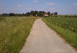 Feldweg in Erding