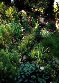 Garten
