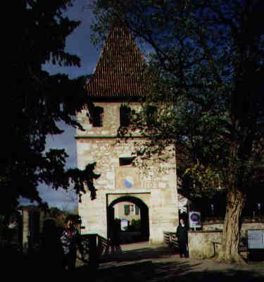 Burg oberhalb vom Rheinfall