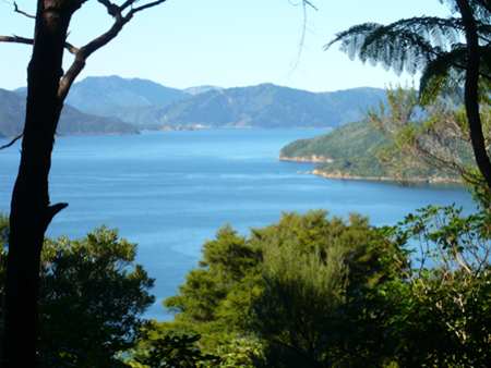 Queen Charlotte Trail